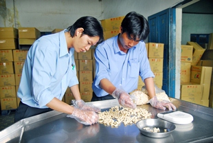 GIÁM ĐỊNH CHẤT LƯỢNG HÀNG NÔNG, LÂM SẢN, DĂM GỖ XK VÀ CÁC SẢN PHẨM TỪ GỖ